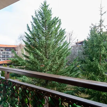 Your At Winslow Infinity Apartament
